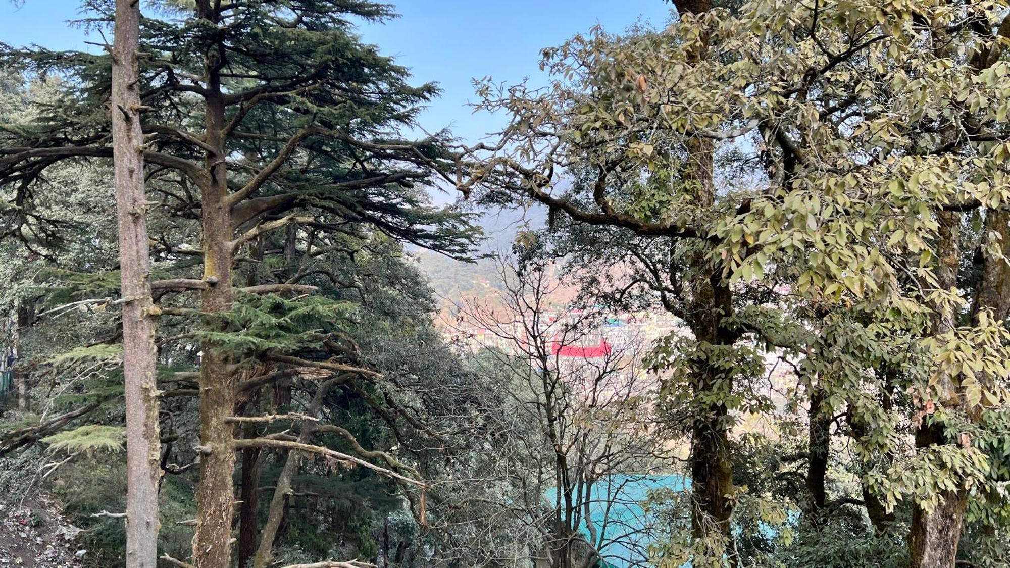 Hotel Pride Inn - 800 Mts From Mall Road Mussoorie Bagian luar foto